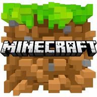 How much do you know minecraft?