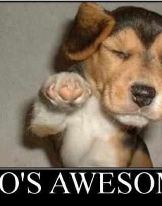 Are u awesome?