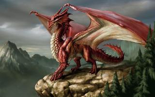 the DRAGON quiz (1)