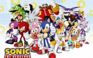 Which Sonic character are you? (1)