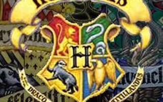 Which Hogwarts house would you be in? (2)