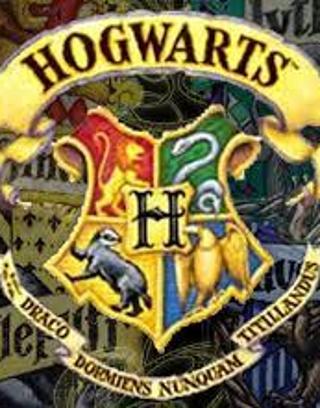 Which Hogwarts house would you be in? (2)