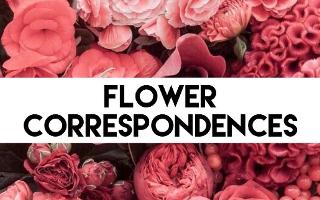 Flower Correspondences