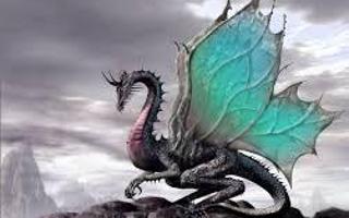 What Dragon Type are You? (Part two)