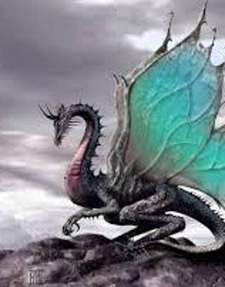 What Dragon Type are You? (Part two)