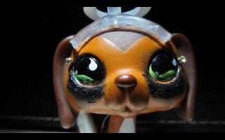 How much do you know about lps popular?