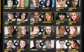 What Hunger Games Tribute Are You?