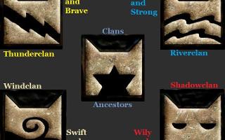 What warrior cat clan would you be in?