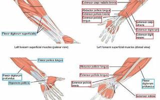 Peripheral Devices Quiz (1)