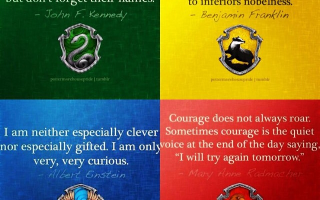 What is your Hogwarts House? (2)