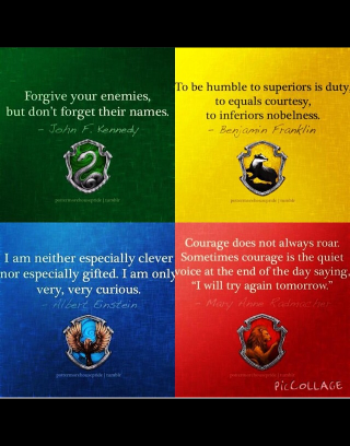 What is your Hogwarts House? (2)