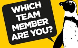 Which Exec Team member are you?