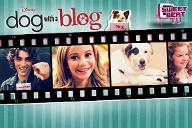 Which Dog with a blog Character are you?