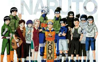 what do you know about Naruto (1)