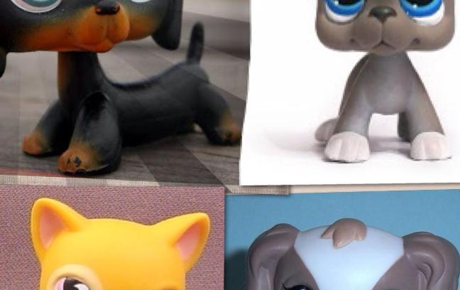 What lps are you (1)