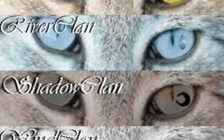 What Warrior Cats Clan Are You In? (1)