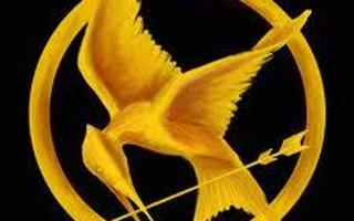 Are you a Hunger Games superfan??