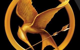 who are you from the hunger games (1)