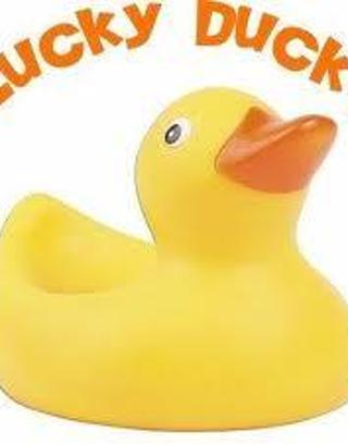 Are you a Lucky Duck?