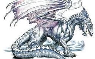 Dragon Type Quiz