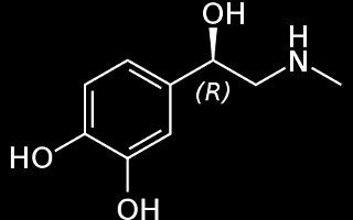 Adrenaline Effects