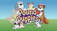 Which Pound Puppy Are You