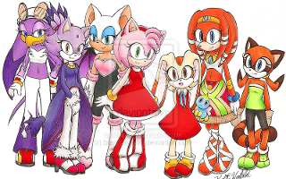 Which Sonic girl character are you?