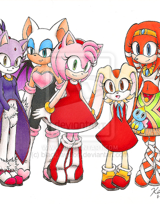 Which Sonic girl character are you?