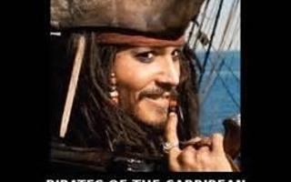 How much do you love pirates of the carribean?