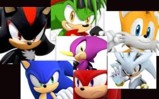 What sonic guy would most likely crush on you?