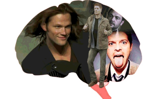 Does your brain love Supernatural?