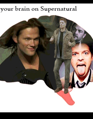 Does your brain love Supernatural?