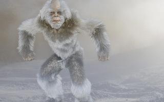 Which Yeti Are You?