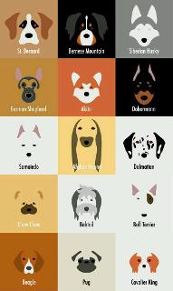 What dog breed are you most like? (1)