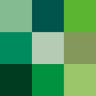 What Shade of Green Are You?