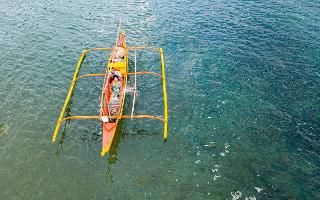 Paddleboard Mania