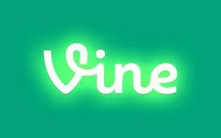 Do you know your vine?