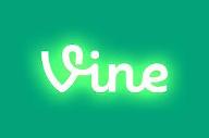 Do you know your vine?