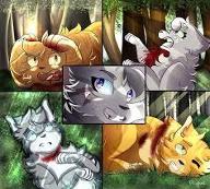 how welcomed would you be in the dark forest or starclan?