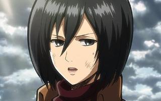 Do you know Mikasa Ackerman very well?