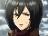 Do you know Mikasa Ackerman very well?