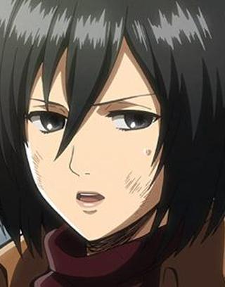 Do you know Mikasa Ackerman very well?