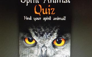 Spirit Animal Quiz (1)