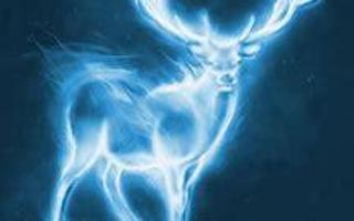 What is your Patronus? (2)