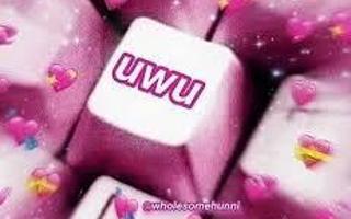 are you one of he uwu's?