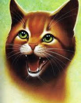 How well do you know Firestar? (2)