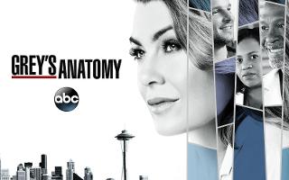 Which Grey's Anatomy hottie is ur perfect match?