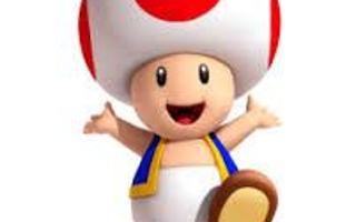 Toad