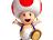 Toad