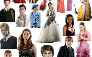 Which GIRL Harry Potter character are YOU?